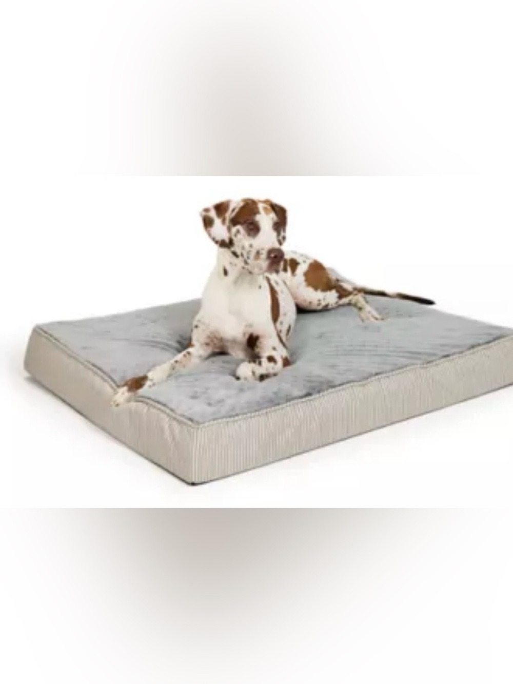 Top Paw® Orthopedic Mattress Dog Bed, Brown/Grey/Tan, 38x30